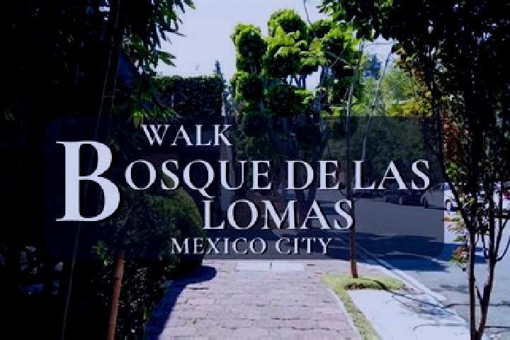 8 escort profiles in Las Lomas de Tacamichapan, Mexico. Browse companions, services, rates and book online. Incall and outcall available.