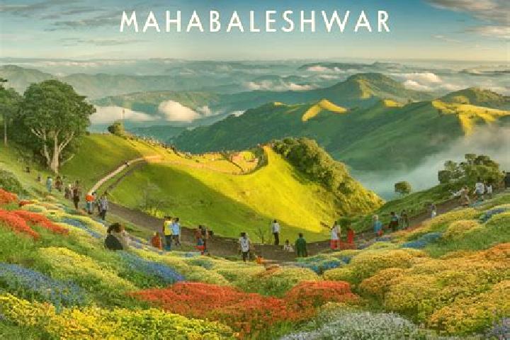 8 escort profiles in Mahabaleshwar, India. Browse companions, services, rates and book online. Incall and outcall available.