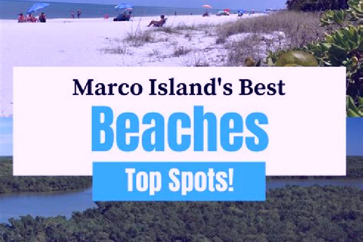 8 escort profiles in Marco Island, United States. Browse companions, services, rates and book online. Incall and outcall available.
