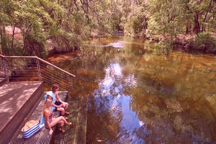 8 escort profiles in Nannup, Australia. Browse companions, services, rates and book online. Incall and outcall available.