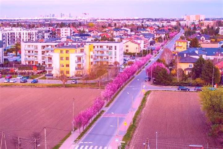 8 escort profiles in Ozarow Mazowiecki, Poland. Browse companions, services, rates and book online. Incall and outcall available.