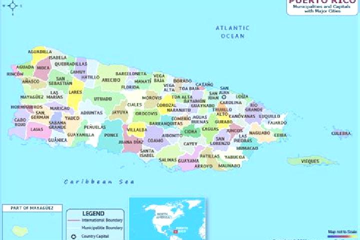 8 escort profiles in Palmarejo, Puerto Rico. Browse companions, services, rates and book online. Incall and outcall available.
