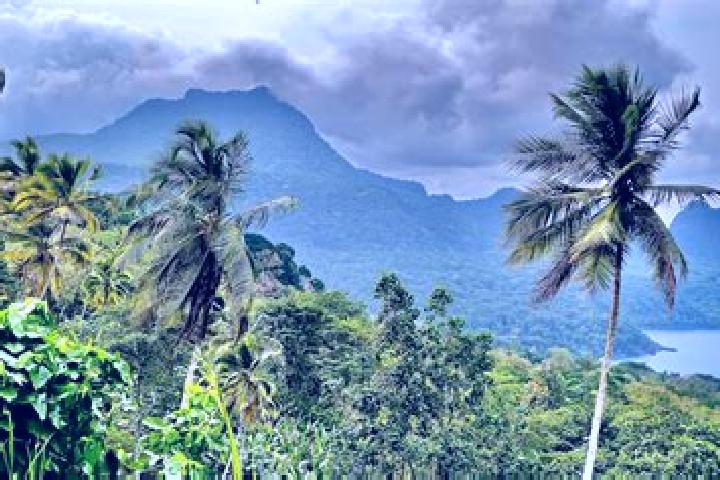 8 escort profiles in Pantufo, Sao Tome and Principe. Browse companions, services, rates and book online. Incall and outcall available.
