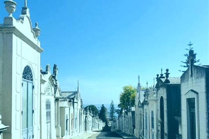 8 escort profiles in Parada de Gonta, Portugal. Browse companions, services, rates and book online. Incall and outcall available.