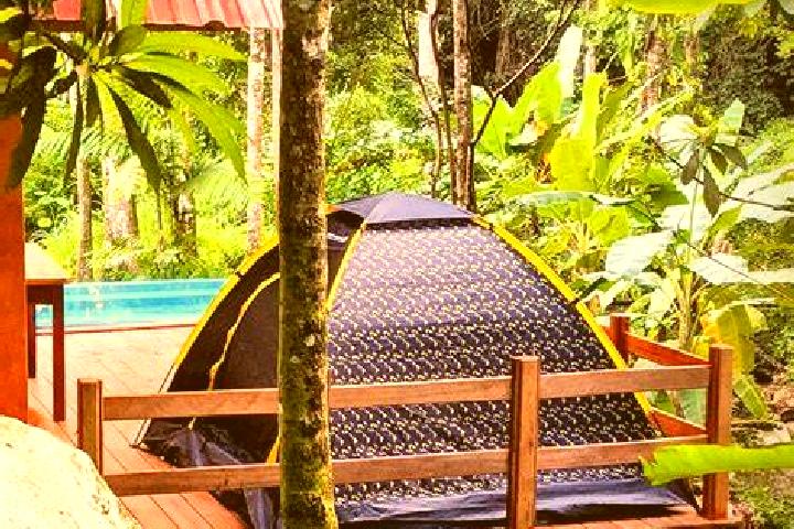 8 escort profiles in Rio Chiquito, Honduras. Browse companions, services, rates and book online. Incall and outcall available.
