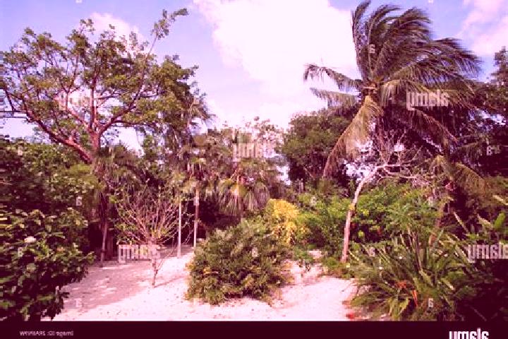 8 escort profiles in Tropical Gardens, Cayman Islands. Browse companions, services, rates and book online. Incall and outcall available.