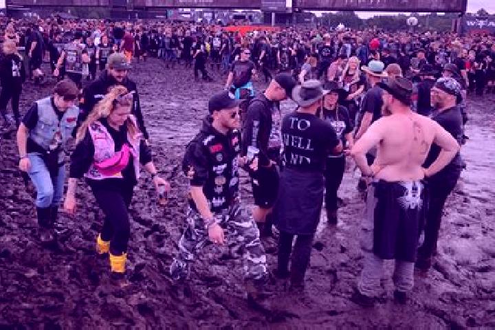 8 escort profiles in Wacken, Germany. Browse companions, services, rates and book online. Incall and outcall available.
