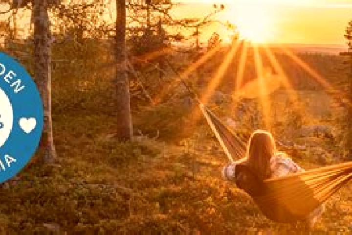 9 escort profiles in Alahaermae, Finland. Browse companions, services, rates and book online. Incall and outcall available.