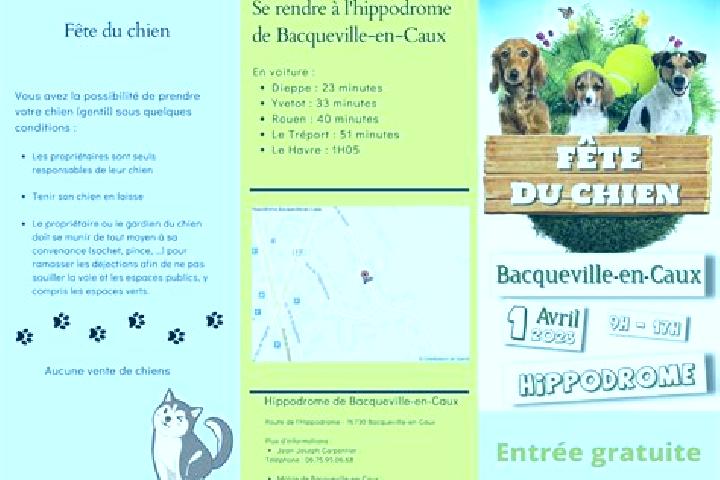 9 escort profiles in Bacqueville-en-Caux, France. Browse companions, services, rates and book online. Incall and outcall available.