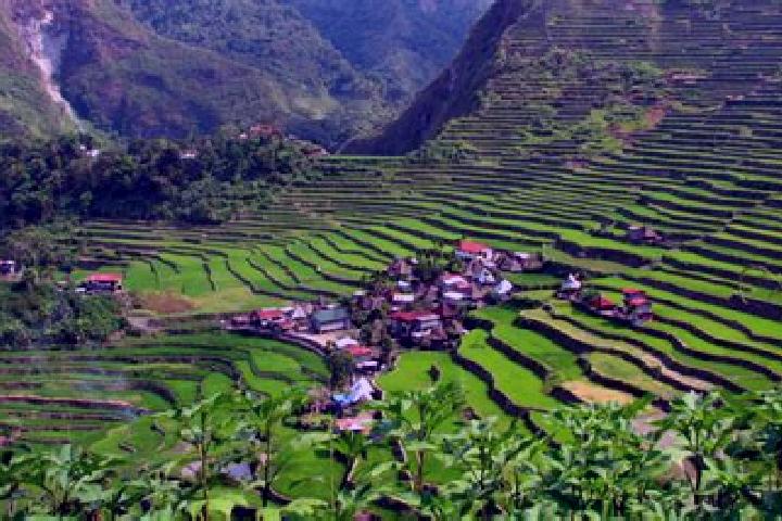 9 escort profiles in Banaue, Philippines. Browse companions, services, rates and book online. Incall and outcall available.