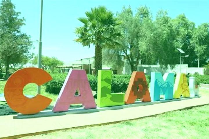 9 escort profiles in Calama, Chile. Browse companions, services, rates and book online. Incall and outcall available.