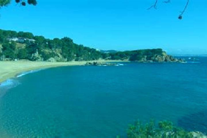 9 escort profiles in Castell-Platja d Aro, Spain. Browse companions, services, rates and book online. Incall and outcall available.