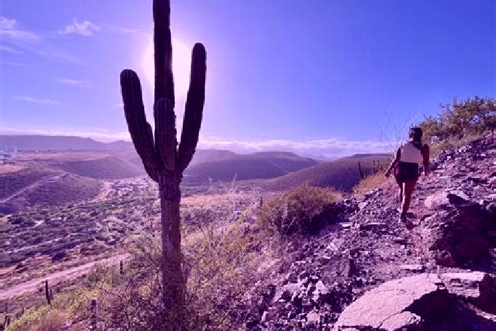 9 escort profiles in Cerro de la Cruz, Mexico. Browse companions, services, rates and book online. Incall and outcall available.