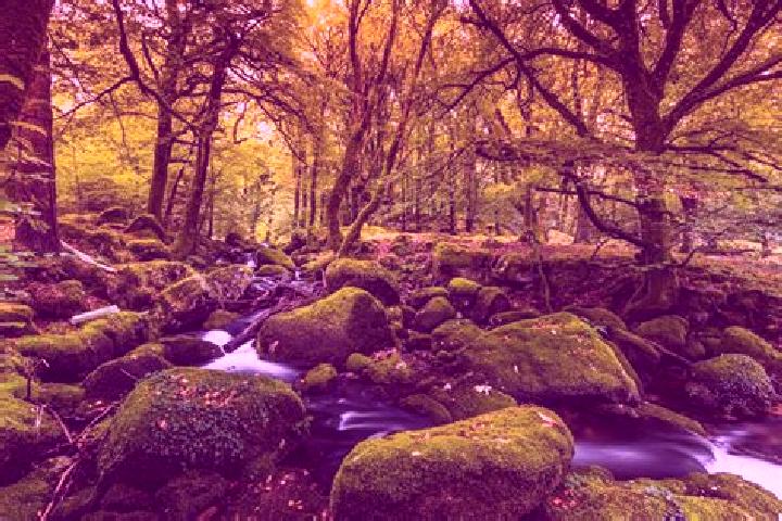 9 escort profiles in Far Forest, United Kingdom. Browse companions, services, rates and book online. Incall and outcall available.