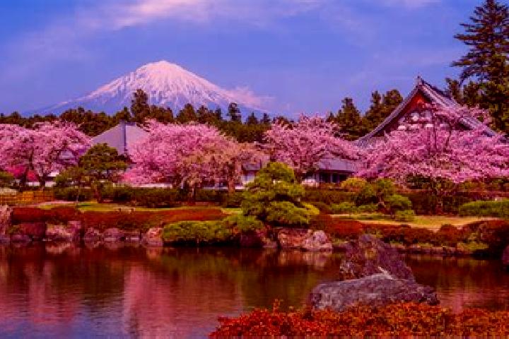 9 escort profiles in Fujinomiya, Japan. Browse companions, services, rates and book online. Incall and outcall available.