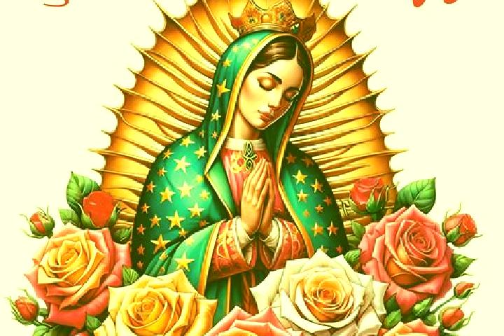 9 escort profiles in Guadalupe Palmira, Mexico. Browse companions, services, rates and book online. Incall and outcall available.
