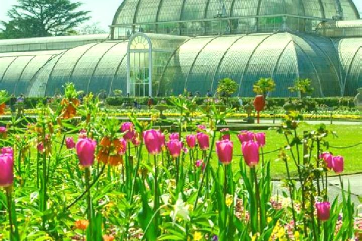 9 escort profiles in Kew Gardens, United States. Browse companions, services, rates and book online. Incall and outcall available.