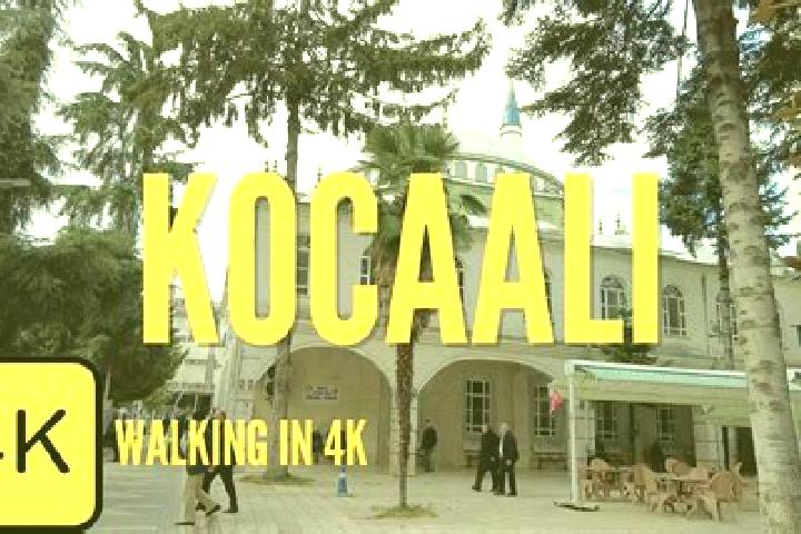 9 escort profiles in Kocaali, Turkey. Browse companions, services, rates and book online. Incall and outcall available.