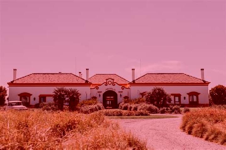 9 escort profiles in La Estancia de Amezcua, Mexico. Browse companions, services, rates and book online. Incall and outcall available.