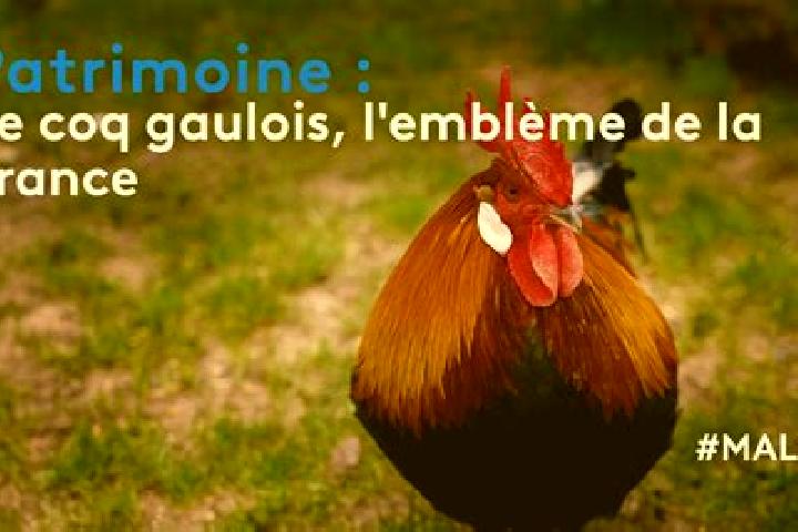 9 escort profiles in Landes-le-Gaulois, France. Browse companions, services, rates and book online. Incall and outcall available.
