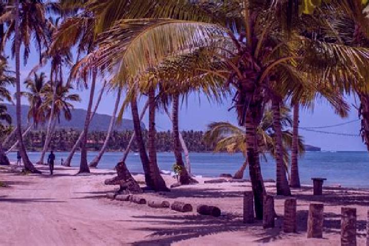9 escort profiles in Las Terrenas, Dominican Republic. Browse companions, services, rates and book online. Incall and outcall available.