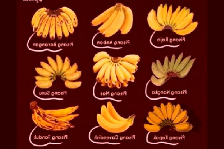 9 escort profiles in Pisang, Indonesia. Browse companions, services, rates and book online. Incall and outcall available.