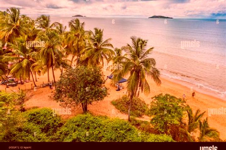 9 escort profiles in Remire-Montjoly, French Guiana. Browse companions, services, rates and book online. Incall and outcall available.