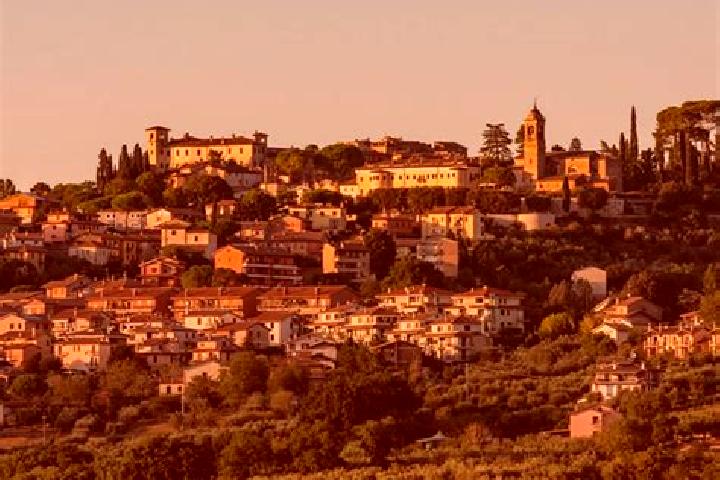 9 escort profiles in San Gemini, Italy. Browse companions, services, rates and book online. Incall and outcall available.