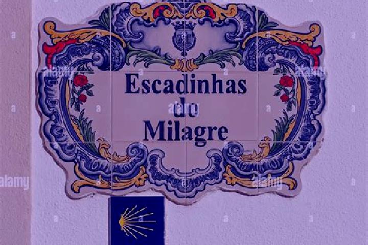 9 escort profiles in Santarem Novo, Brazil. Browse companions, services, rates and book online. Incall and outcall available.