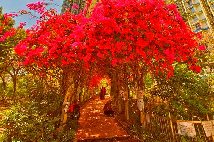 9 escort profiles in Un Chau Estate, Hong Kong. Browse companions, services, rates and book online. Incall and outcall available.