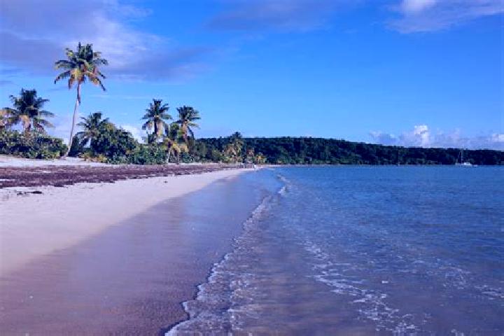 9 escort profiles in Vieques, Puerto Rico. Browse companions, services, rates and book online. Incall and outcall available.