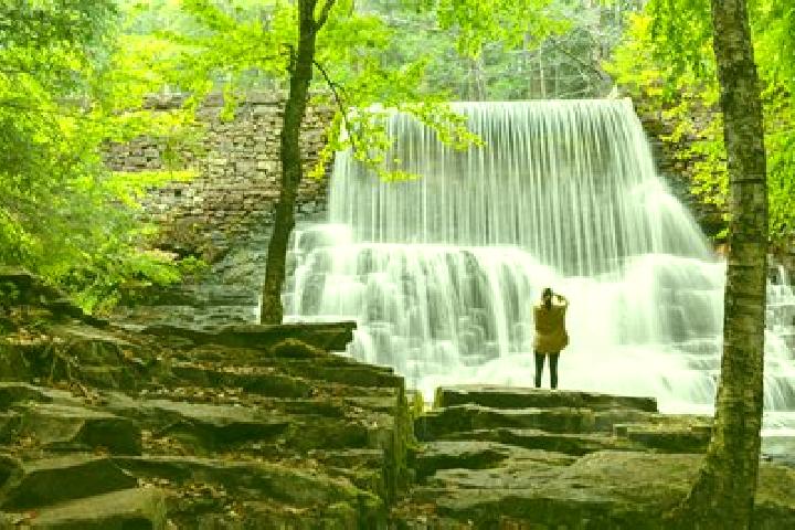 9 escort profiles in Wallenpaupack Lake Estates, United States. Browse companions, services, rates and book online. Incall and outcall available.