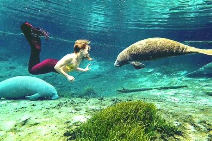 9 escort profiles in Weeki Wachee Gardens, United States. Browse companions, services, rates and book online. Incall and outcall available.
