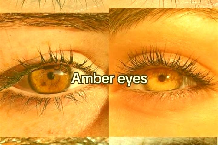 Abigail, 20, a brunette amber-eyed caucasian companion based in Terborg. Offering Dinner Date, Party Girl, GFE, BDSM. Available for incall and outcall, day a...