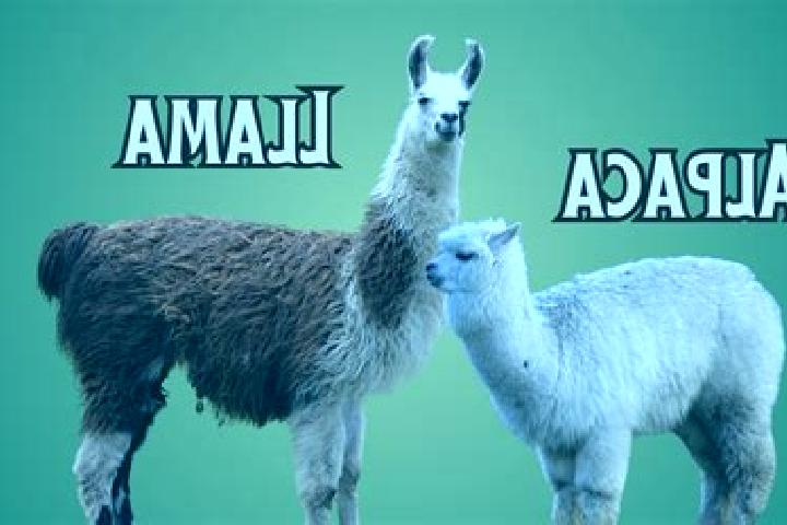 Abigail, 20, a brunette grey-eyed caucasian companion based in Llamas de la Ribera. Offering Travel Companion, Prostate Massage, GFE, OWO, Striptease. Availa...