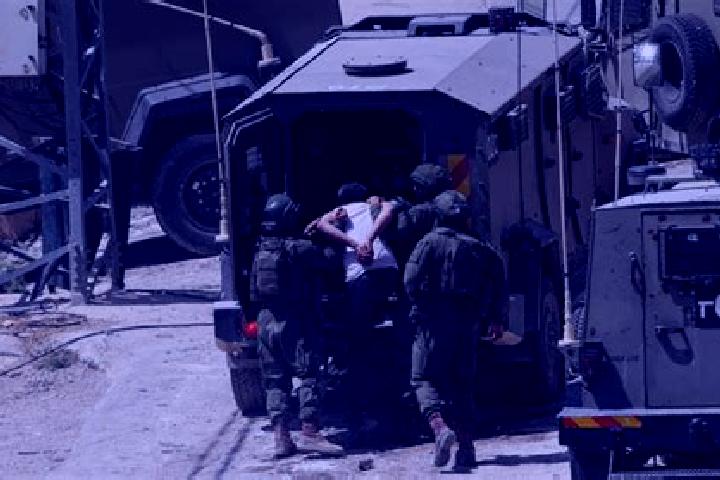 Abigail, 20 — Escort in Dayr al Ghusun, Palestine