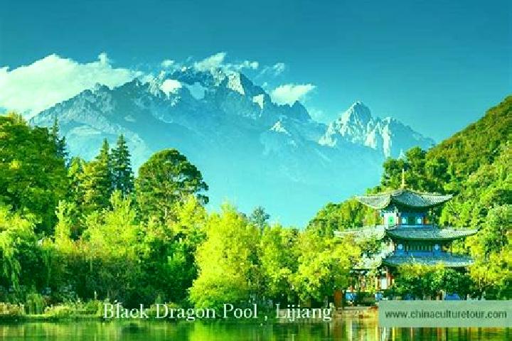 Abigail, 20 — Escort in Linjiang, China