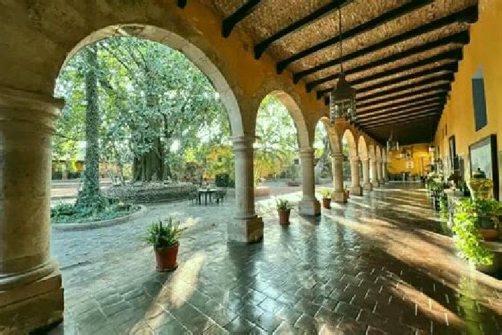 Abigail, 20 — Escort in Villas de la Hacienda [Fraccionamiento], Mexico
