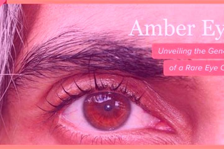 Abigail, 21, a red amber-eyed mediterranean companion based in Angais. Offering Travel Companion, Striptease, Roleplay, BDSM. Available for incall and outcal...