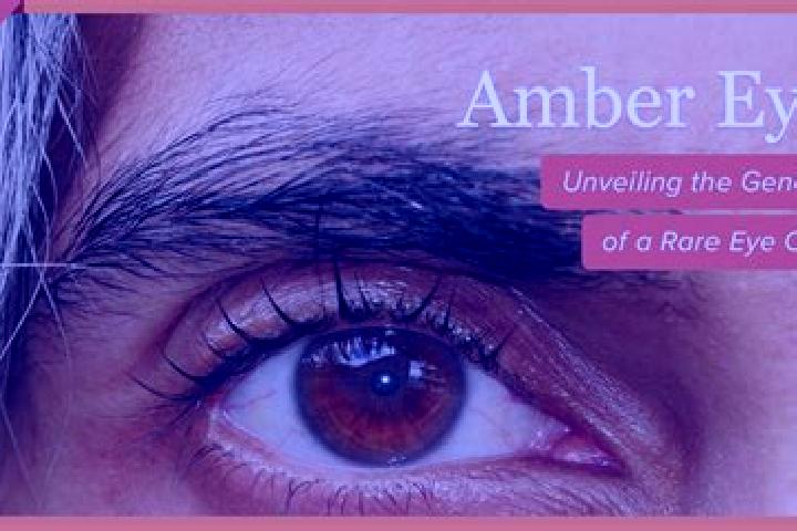 Abigail, 21, a red amber-eyed slavic companion based in Crivitz. Offering Girlfriend Experience, Massage, Erotic Massage, Duos, Couples. Available for incall...