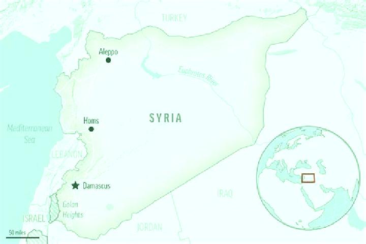 Abigail, 21 — Escort in Ariha, Syria