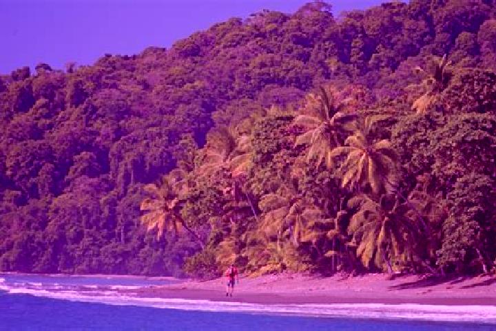 Abigail, 21 — Escort in El Corcovado, Mexico