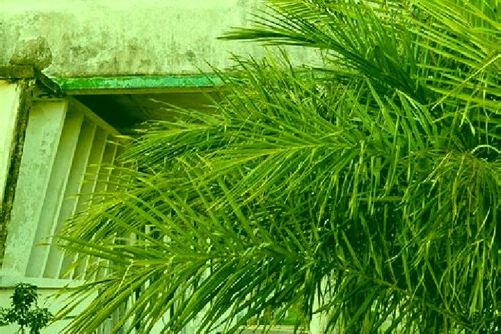 Abigail, 21 — Escort in Inhambane, Mozambique