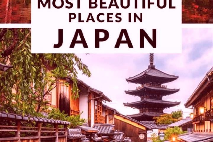 Abigail, 21 — Escort in Negishicho, Japan