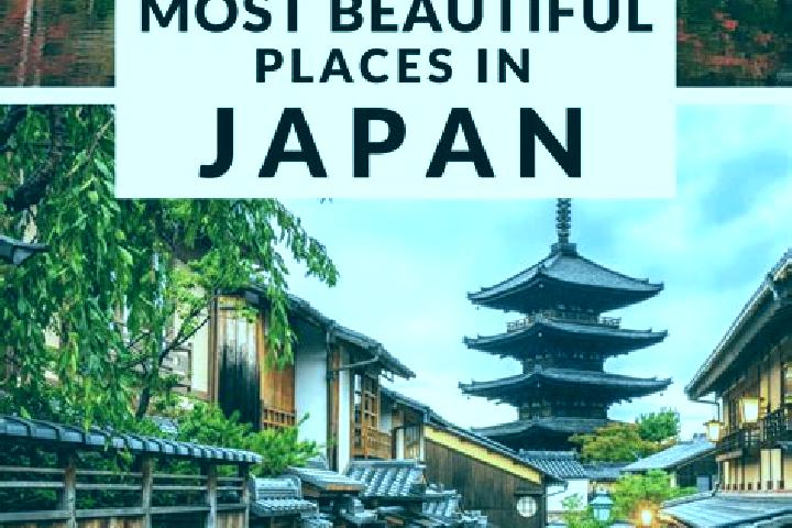 Abigail, 21 — Escort in Yotsueda, Japan