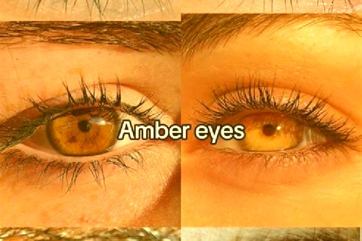 Abigail, 22, a brunette amber-eyed caucasian companion based in Prinzhofte. Offering 69, BDSM, Erotic Massage. Available for incall and outcall, overnight bo...