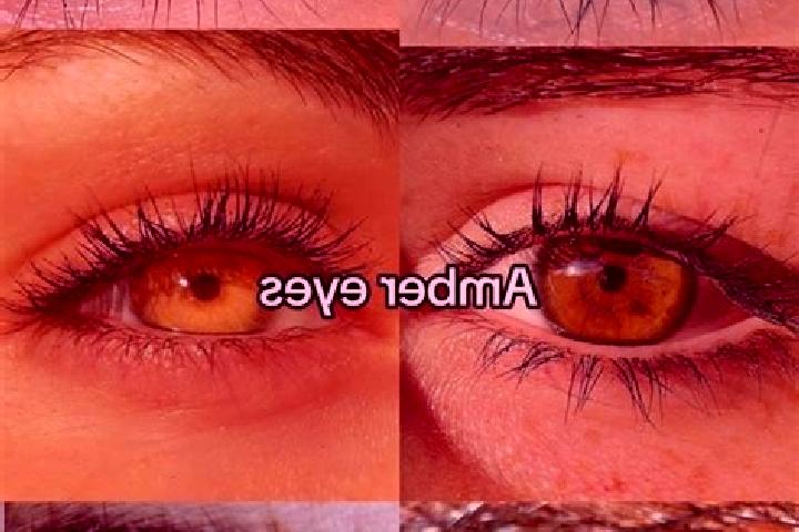 Abigail, 22, a brunette amber-eyed middle eastern companion based in Bandeiras. Offering CIM, Girlfriend Experience, BDSM. Available for incall and outcall, ...