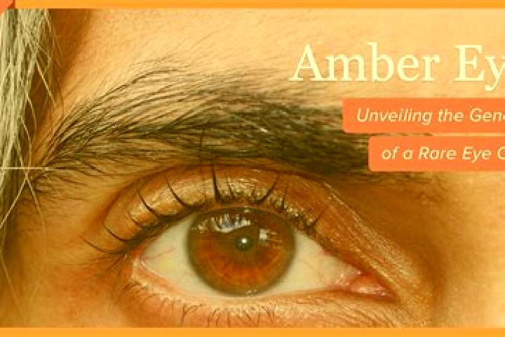 Abigail, 22, a red amber-eyed middle eastern companion based in Sieggraben. Offering Overnight, Girlfriend Experience. Available for incall and outcall, day ...