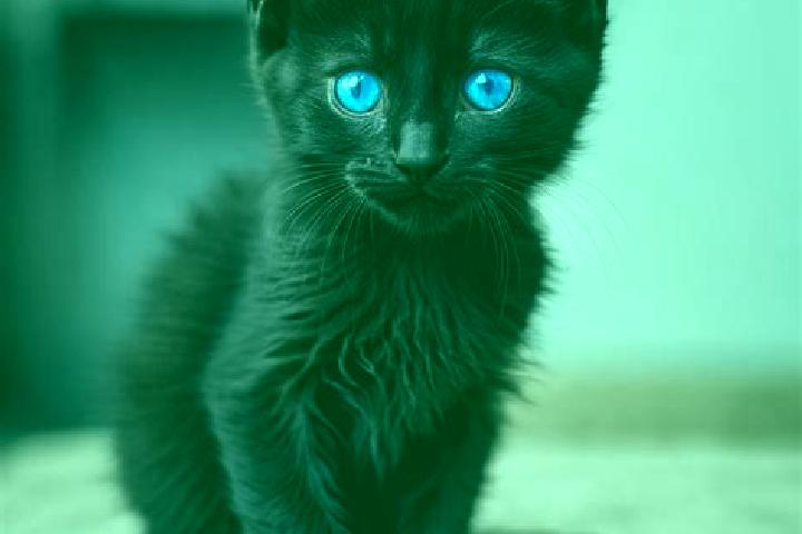 Abigail, 23, a black blue-eyed caribbean companion based in Biyka. Offering Travel Companion, Overnight, Duos. Available for incall and outcall, overnight bo...