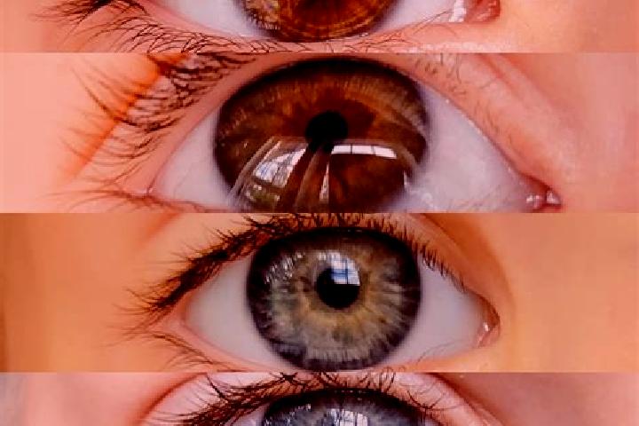 Abigail, 23, a chestnut grey-eyed mixed companion based in Nir Banim. Offering Tantra, Striptease, Overnight. Available for incall and outcall, overnight boo...